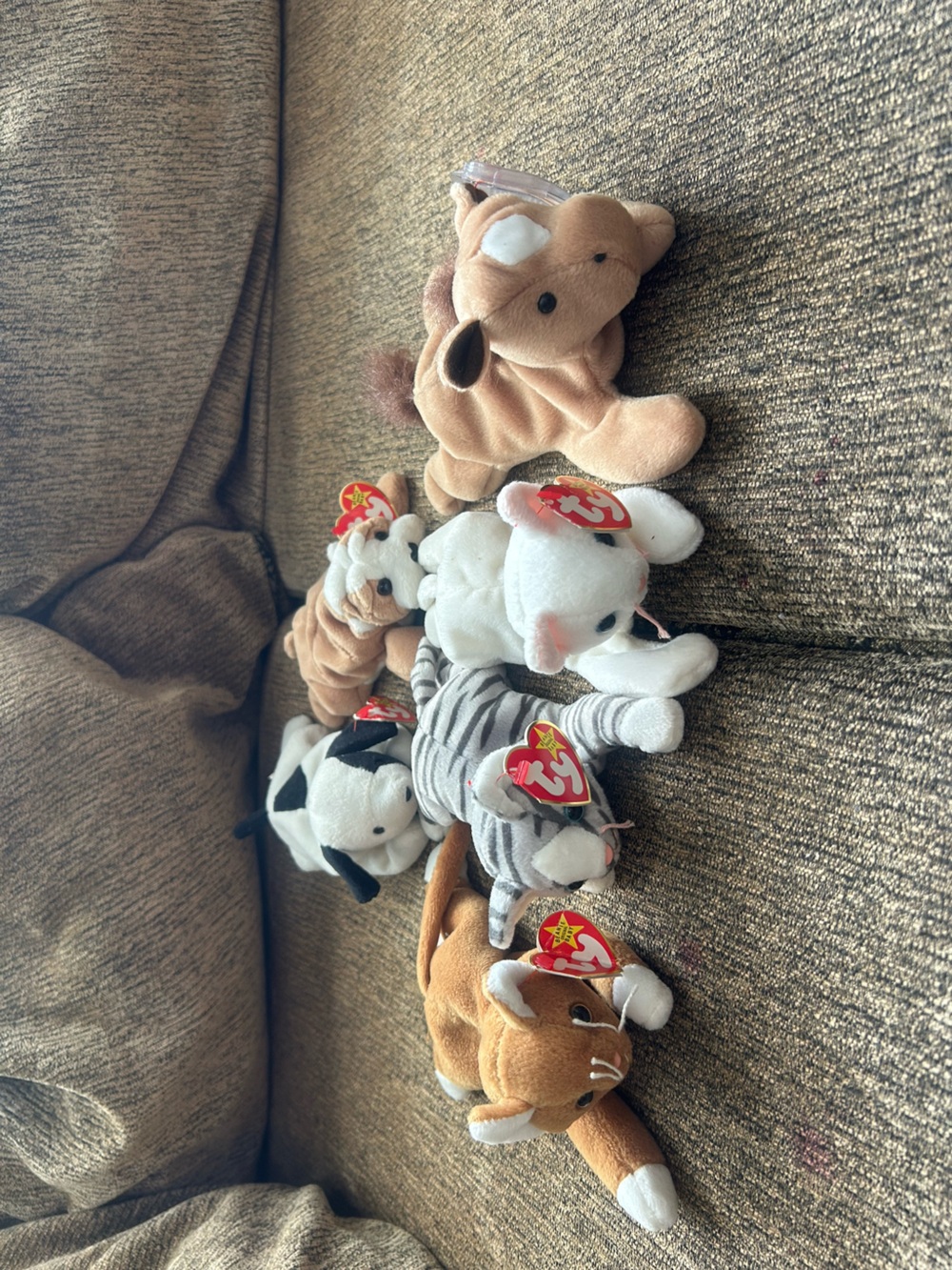 6 Vintage Ty Beanie Babies Cats & Dogs Domestic Pets w/ Tags